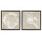Stupell Industries Rustic Abstract Seashells 2pc Floater Framed Canvas Wall Art Set Design by Carol Robinson